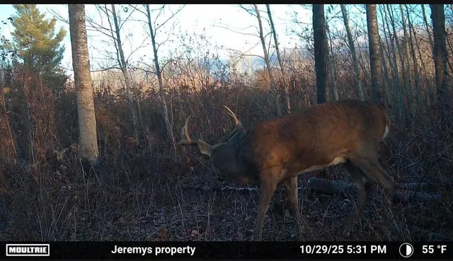 $642,000 | 25690 Groningen Road, Sandstone, MN 55072