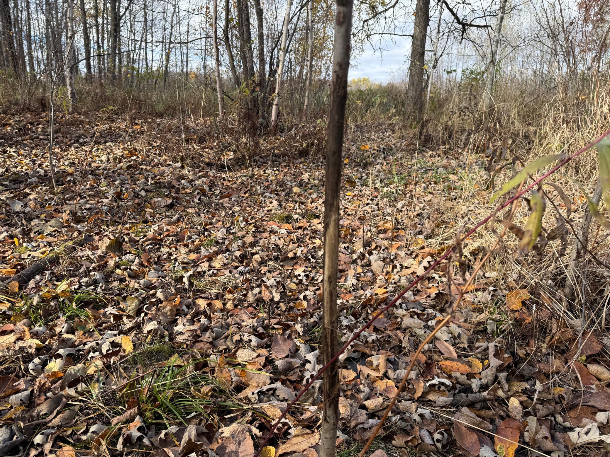 25690 Groningen Road Sandstone, MN 55072 - Photo 27 of 71