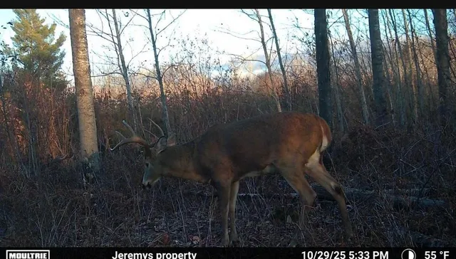 $642,000 | 25690 Groningen Road, Sandstone, MN 55072