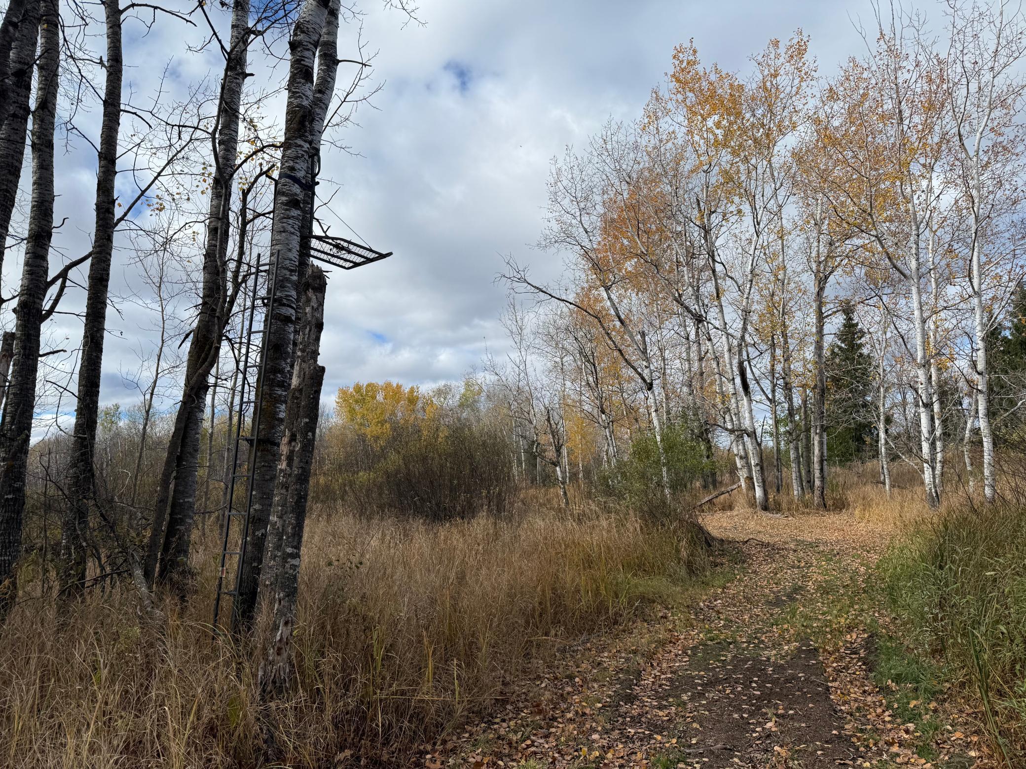 25690 Groningen Road Sandstone, MN 55072 - Photo 28 of 71
