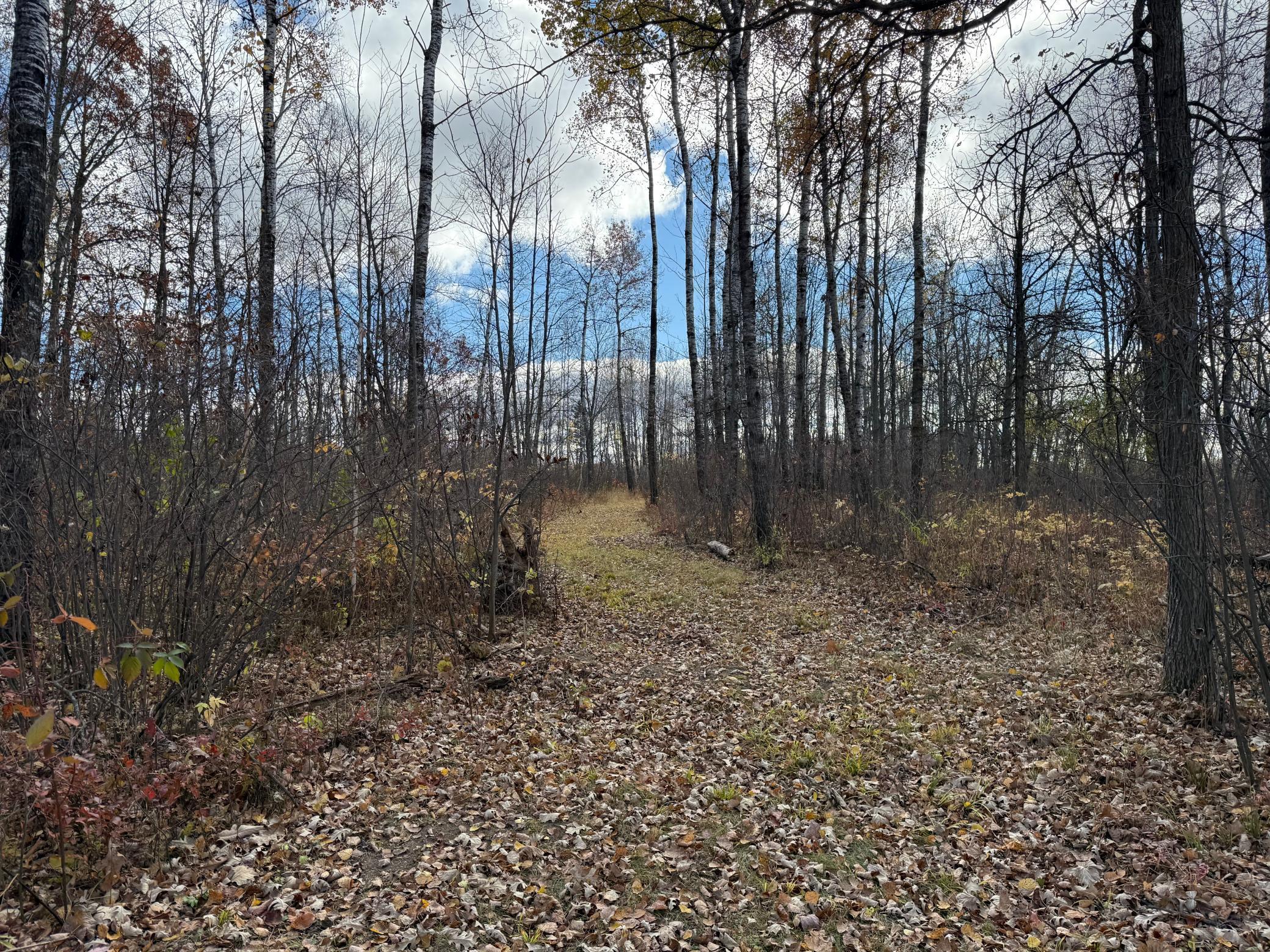 25690 Groningen Road Sandstone, MN 55072 - Photo 34 of 71