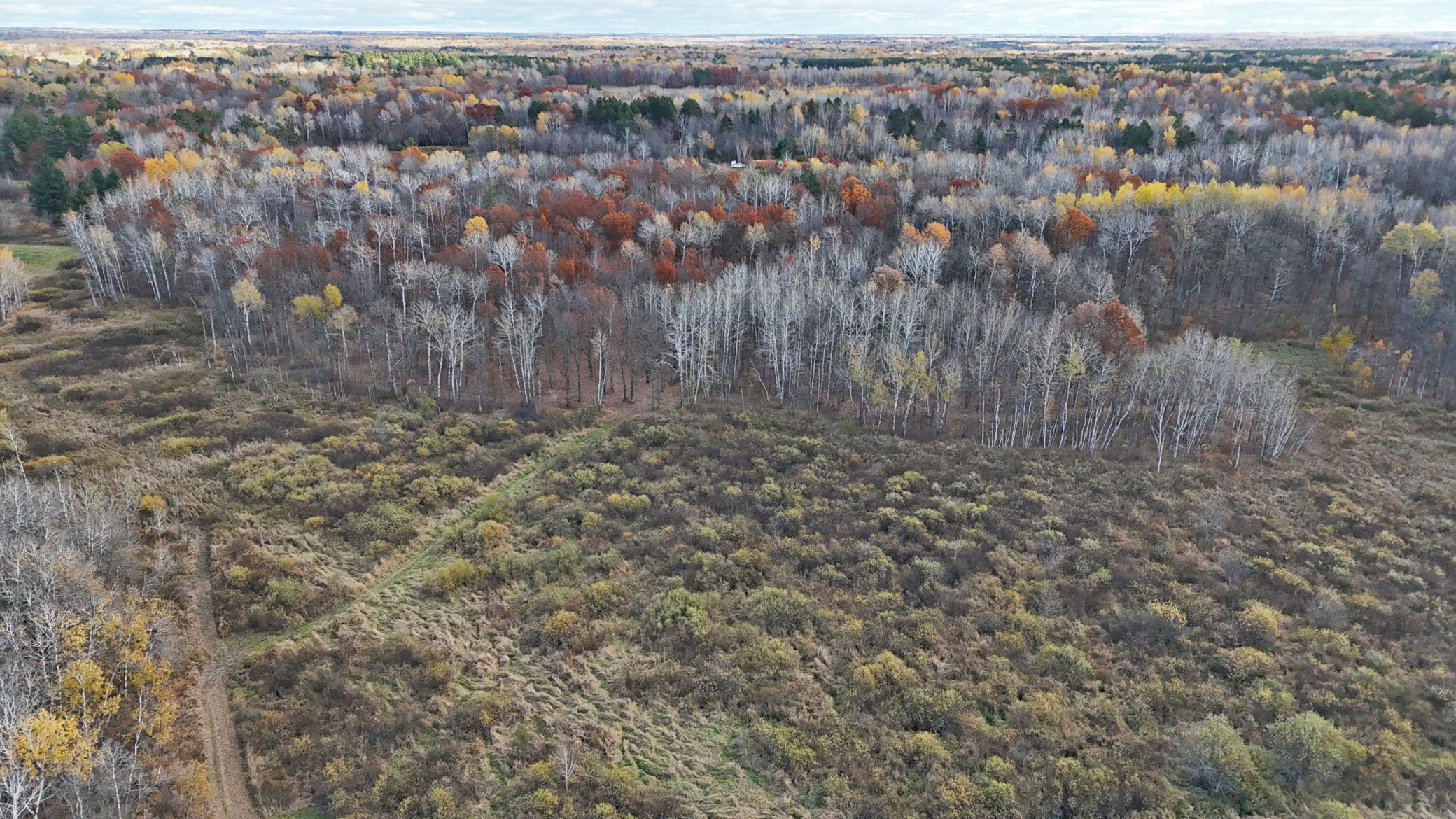 25690 Groningen Road Sandstone, MN 55072 - Photo 38 of 71