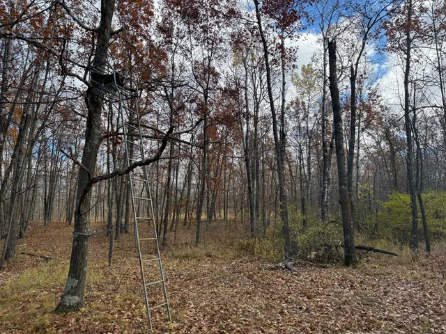 $484,000 | 25690 Groningen Road, Sandstone, MN 55072