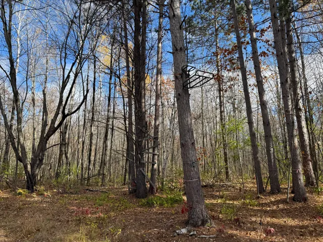 $484,000 | 25690 Groningen Road, Sandstone, MN 55072