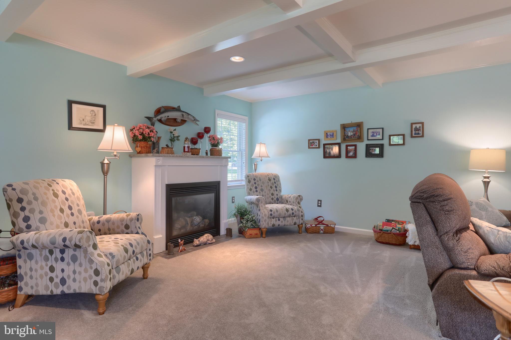 3 Banbury Road Hummelstown, PA 17036 - Photo 16 of 85 a living room with furniture and a fireplace