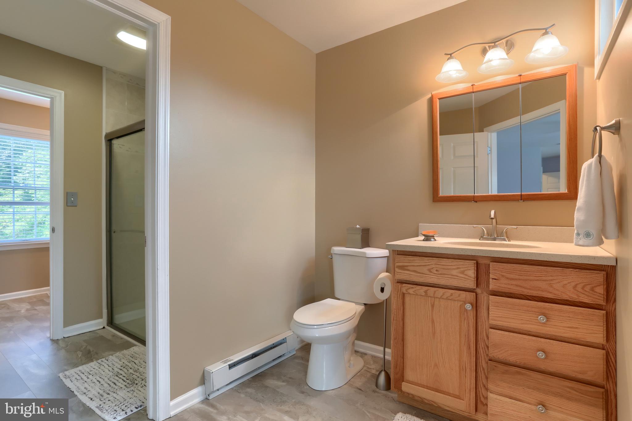 3 Banbury Road Hummelstown, PA 17036 - Photo 35 of 85 Jack and Jill bath