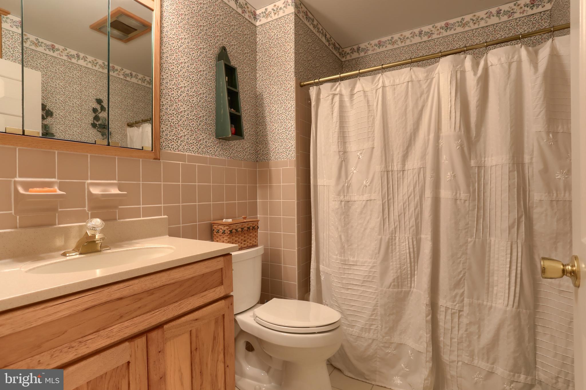3 Banbury Road Hummelstown, PA 17036 - Photo 41 of 85 a bathroom with a sink a toilet and shower