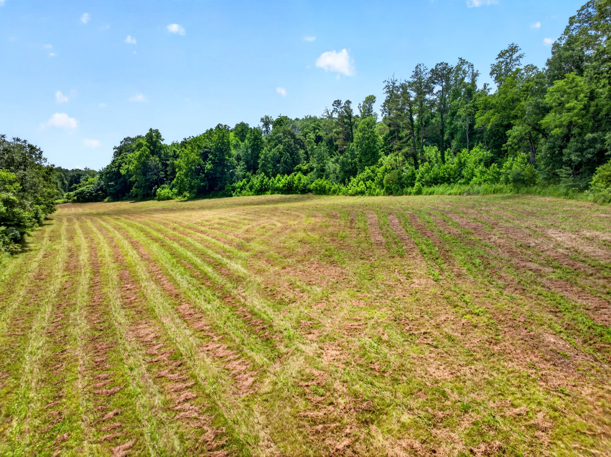 0 Ellis Mills Road Cumberland City, TN 37050 - Photo 3 of 23