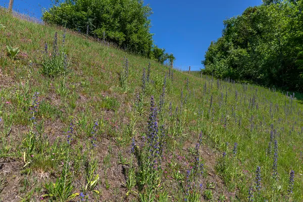 $817,000 | 616 Rose Hill Road, Woodstock, VT 05091