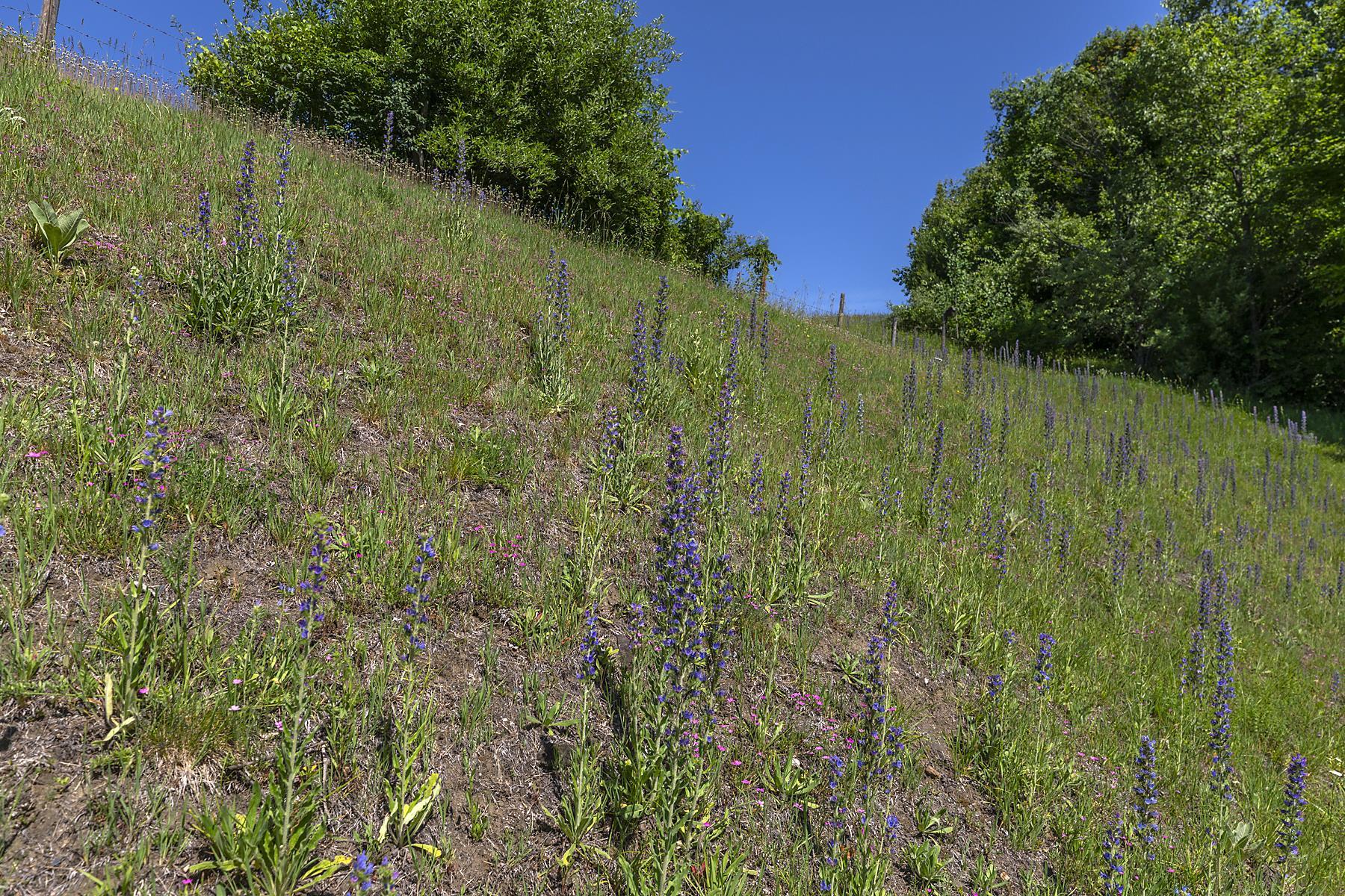 616 Rose Hill Road Woodstock, VT 05091 - Photo 14 of 57