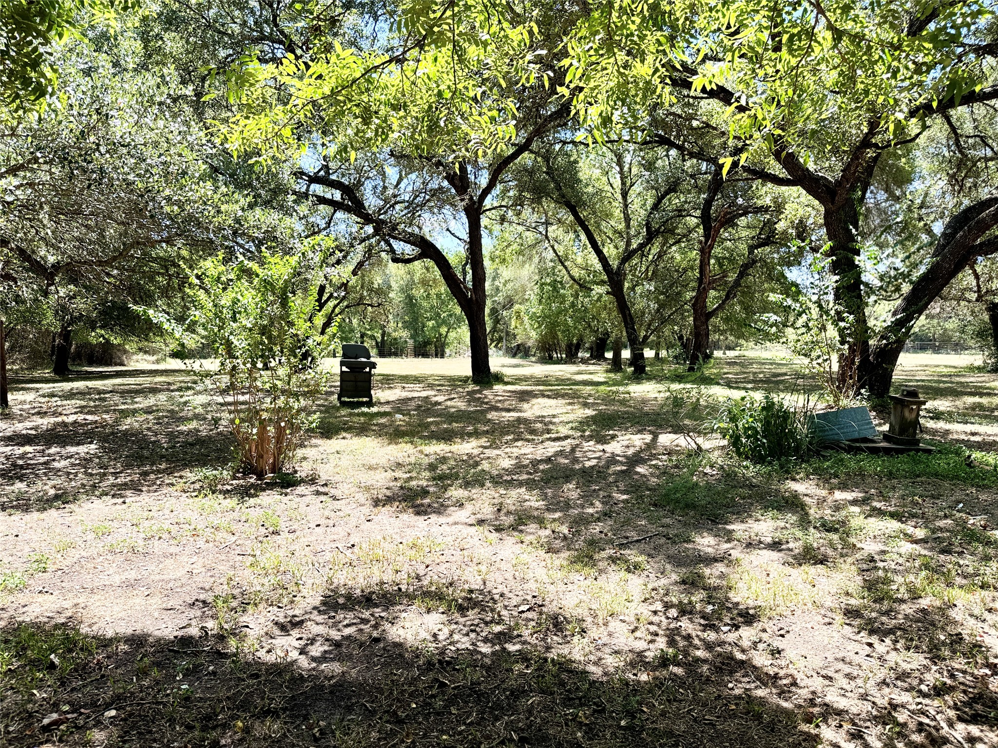 51 Hanging Oak Road Dale, TX 78616 - Photo 29 of 32 Expansive outdoor space featuring mature trees and dappled sunlight