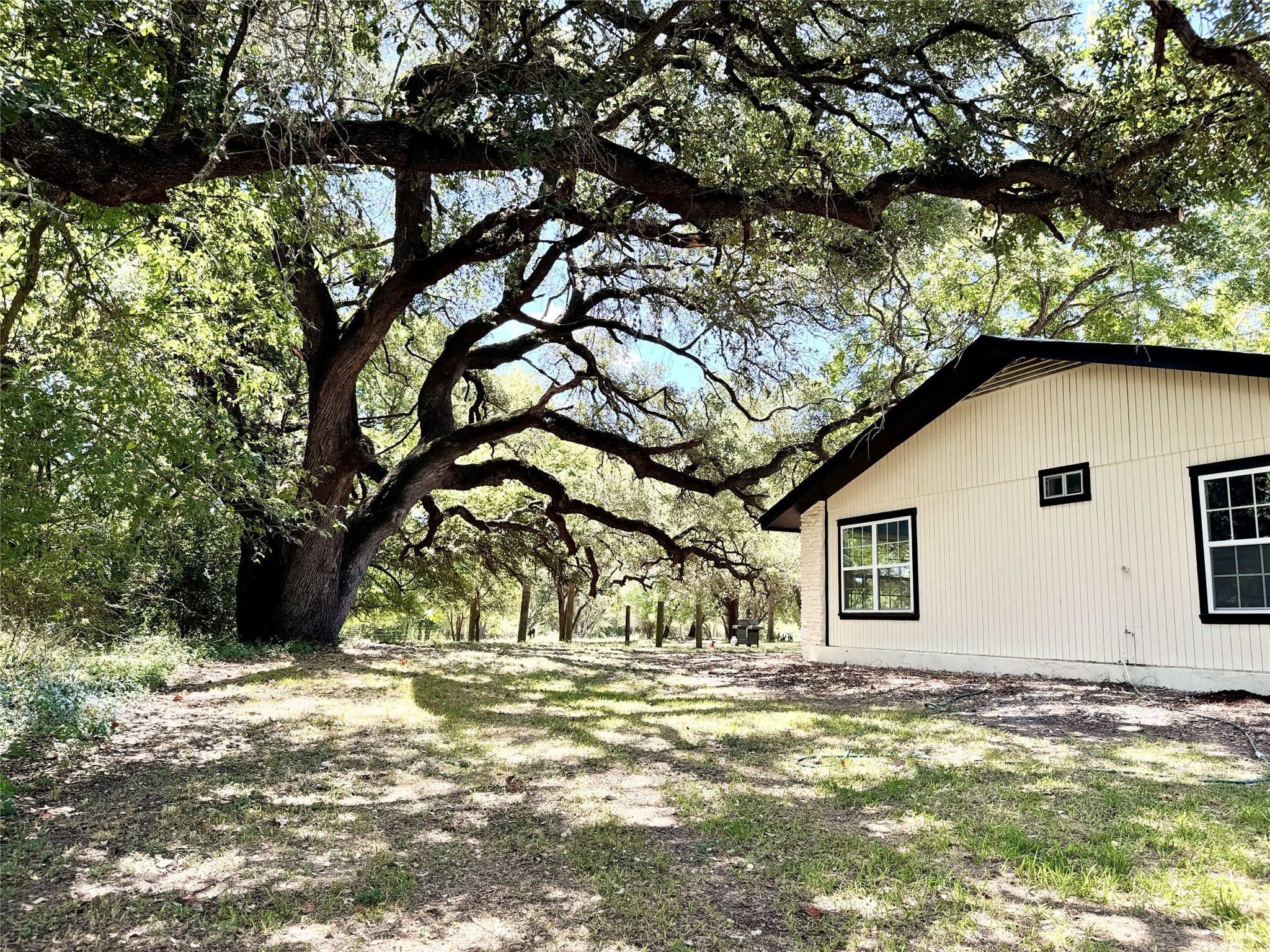 51 Hanging Oak Road Dale, TX 78616 - Photo 4 of 32 Expansive lawn with mature trees providing dappled shade