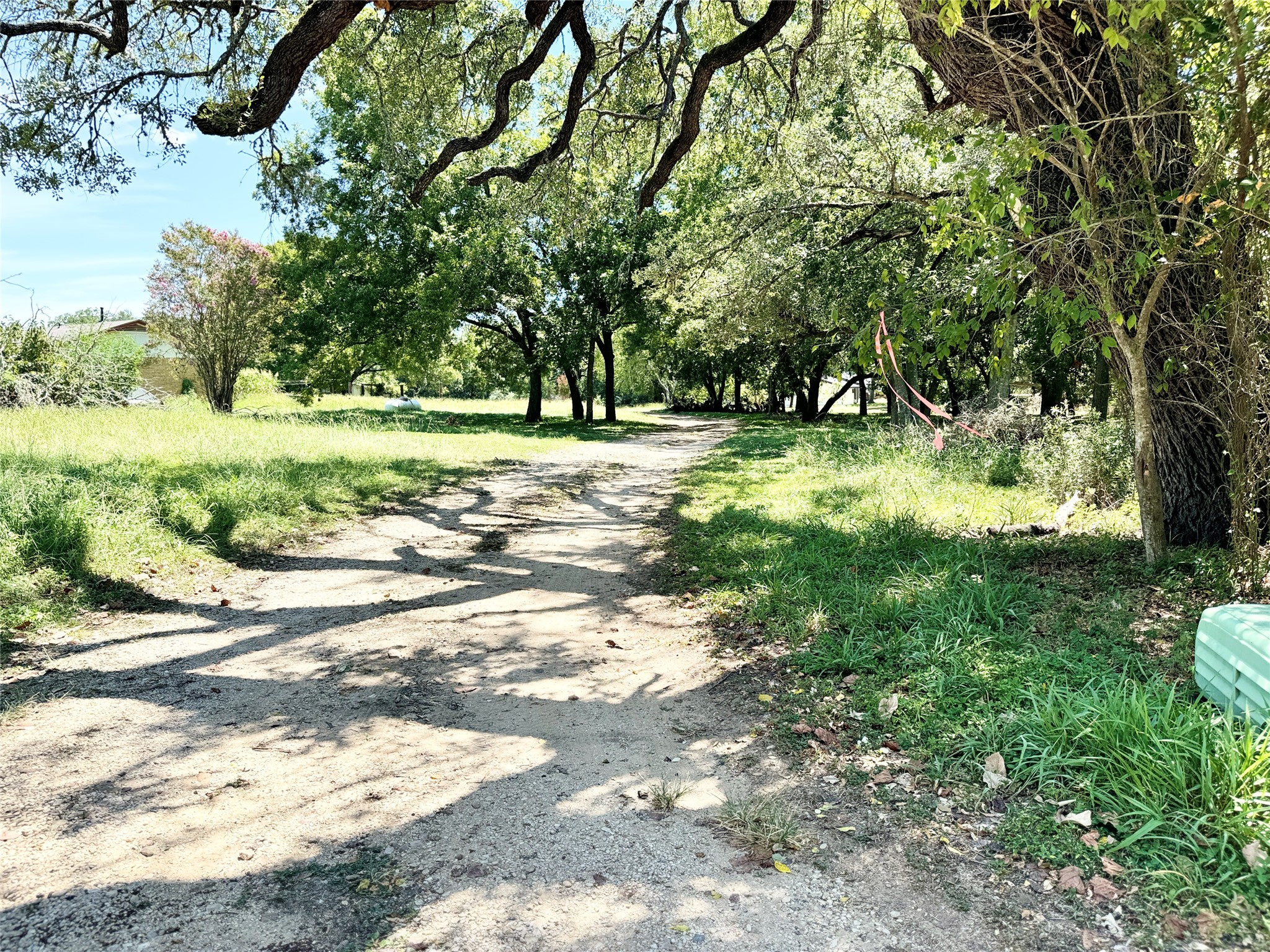 51 Hanging Oak Road Dale, TX 78616 - Photo 5 of 32 A natural dirt path surrounded by mature trees and lush green foliage