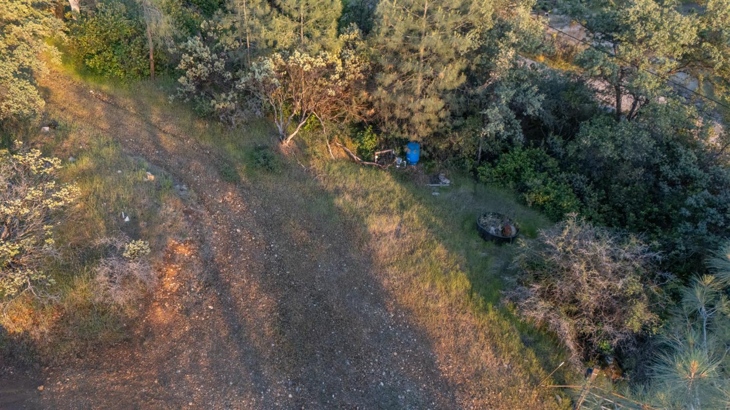 12911 Long Valley Road Penn Valley, CA 95946 - Photo 21 of 35 a view of a yard with a tree