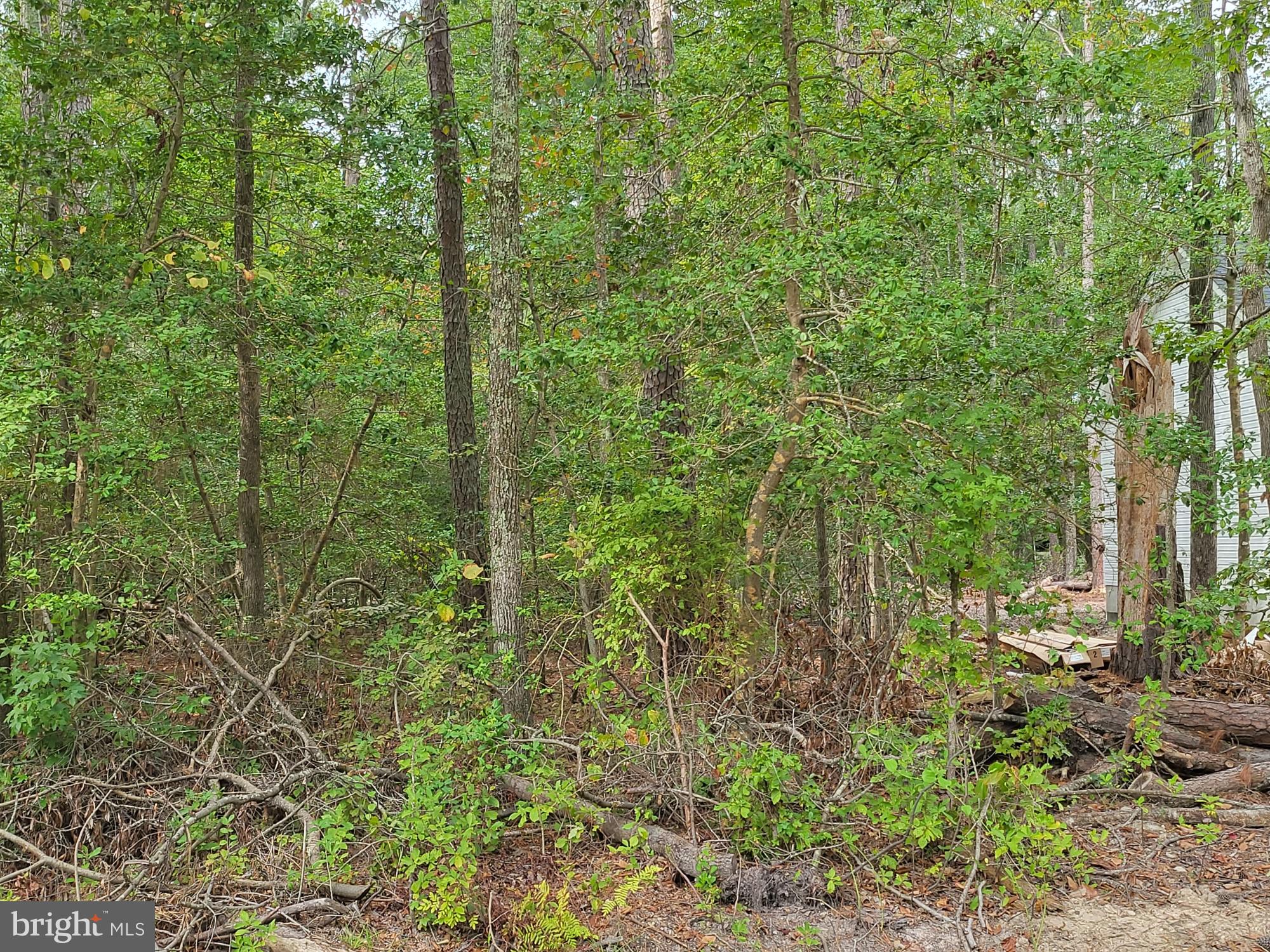 Lot 41 Wildwood Road Colonial Beach, VA 22443 - Photo 2 of 2 Gallery Image 2