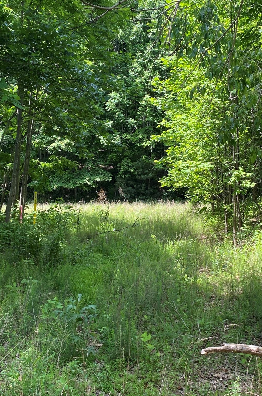 199 Cherry Hill, Unit NONE Mill Spring, NC 28756 - Photo 1 of 11