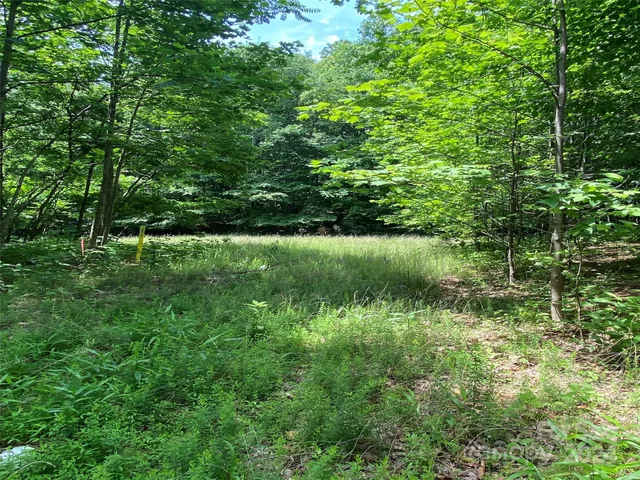 $100,000 | 199 Cherry Hill, Unit NONE, Mill Spring, NC 28756