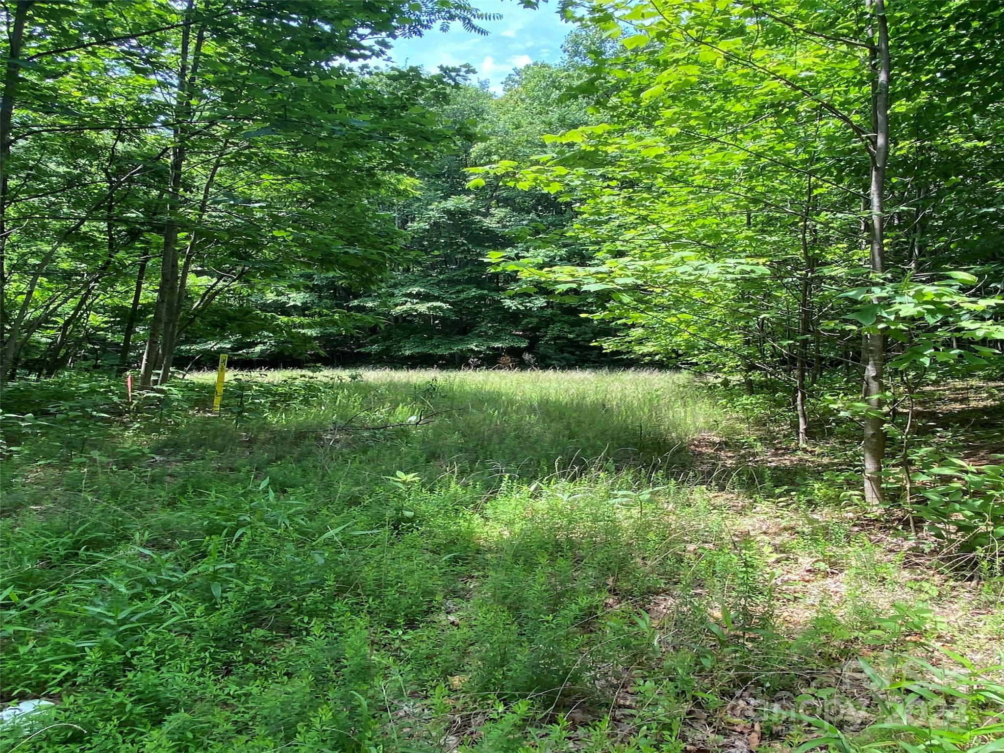 199 Cherry Hill, Unit NONE Mill Spring, NC 28756 - Photo 2 of 11