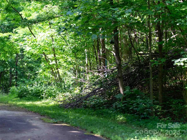 $100,000 | 199 Cherry Hill, Unit NONE, Mill Spring, NC 28756