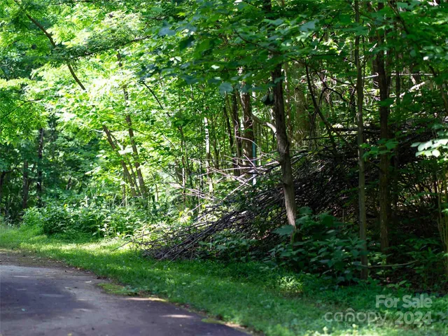 $100,000 | 199 Cherry Hill, Unit NONE, Mill Spring, NC 28756