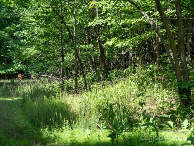 $100,000 | 199 Cherry Hill, Unit NONE, Mill Spring, NC 28756