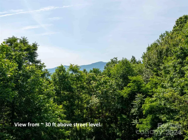 $100,000 | 199 Cherry Hill, Unit NONE, Mill Spring, NC 28756