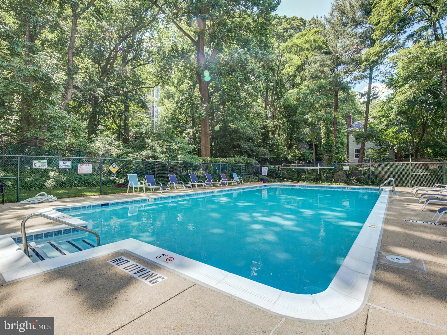 2059 Huntington Avenue, Unit 300 Alexandria, VA 22303 - Photo 26 of 30 a view of a swimming pool with a bench and trees in the background