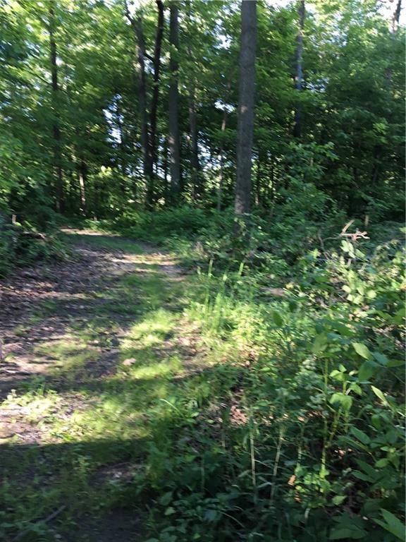 5940 Nettlecreek Road Urbana, OH 43078 - Photo 35 of 46