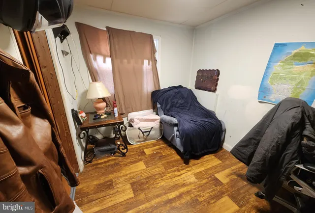 a view of a backyard with plants and trees