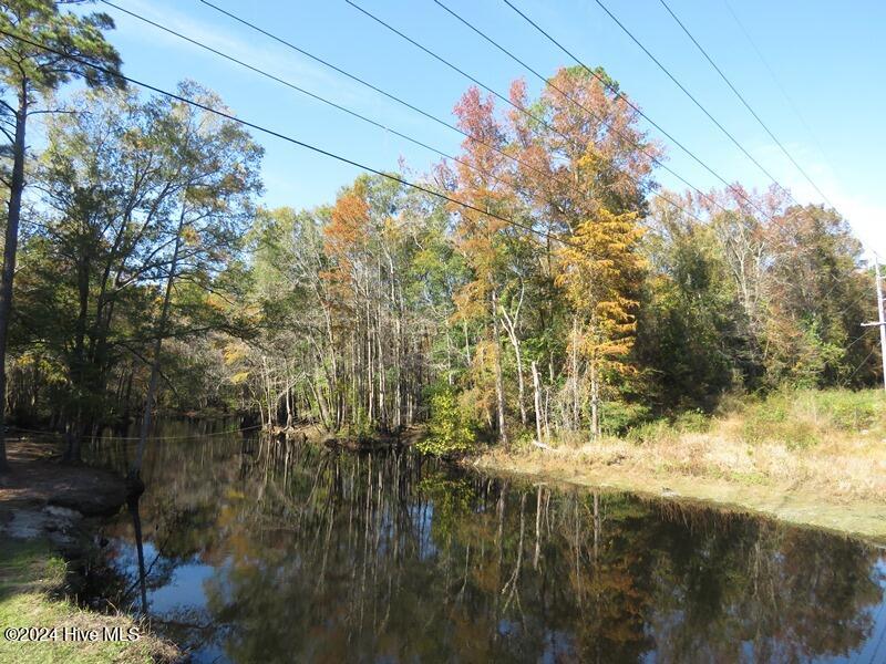 Tbd Turnpike Road Raeford, NC 28376 - Photo 5 of 13 IMG_7956