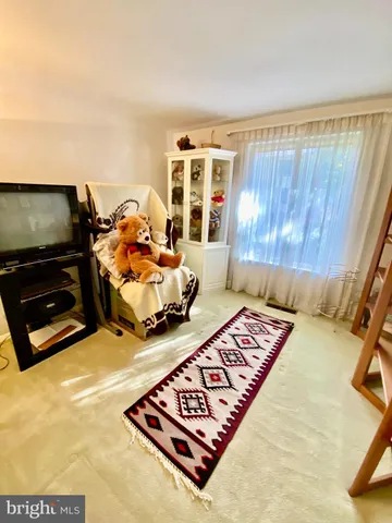 a living room with furniture rug and lamp
