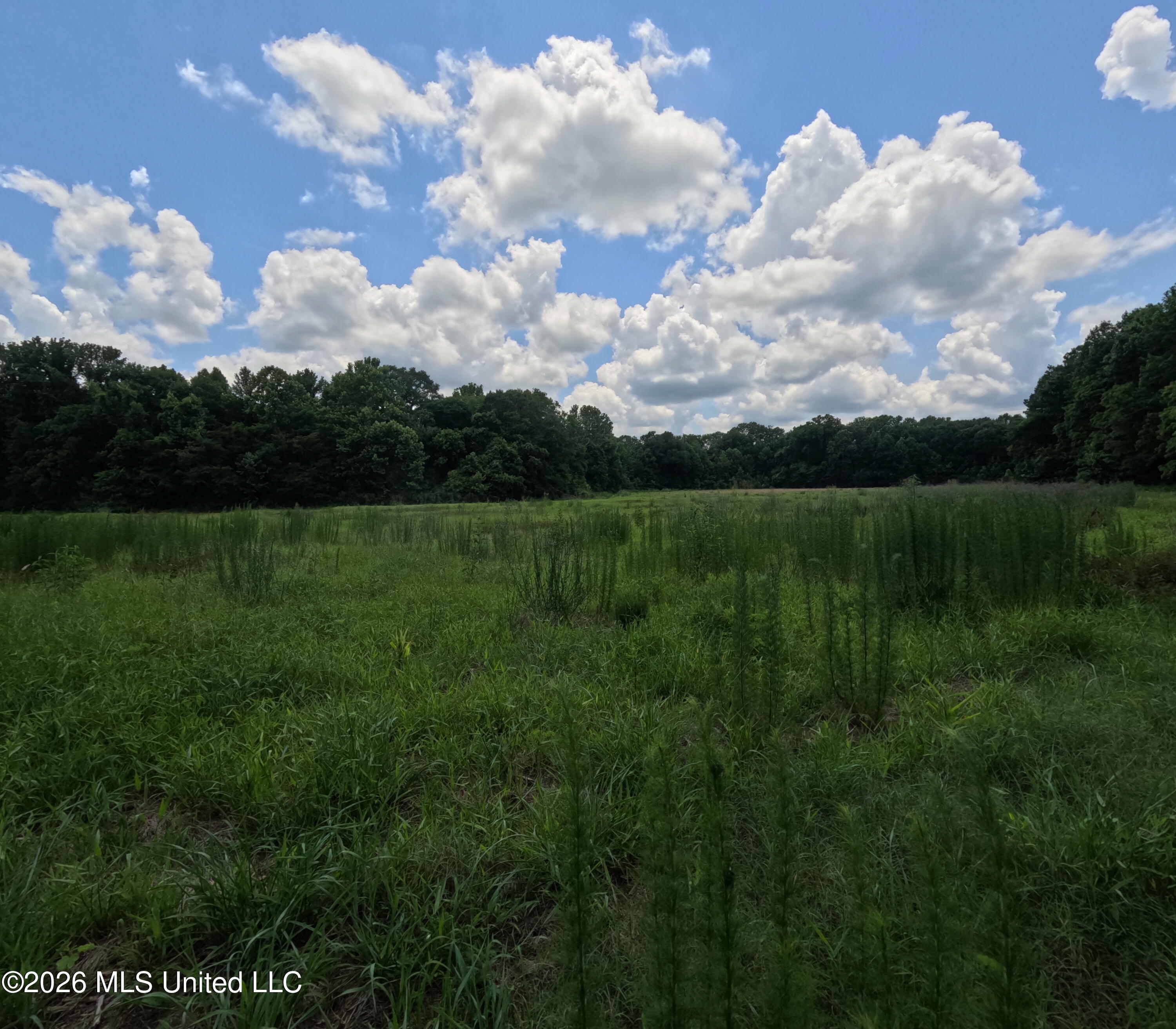 Old Port Edwards, MS 39066 - Photo 5 of 65 GOPR2280