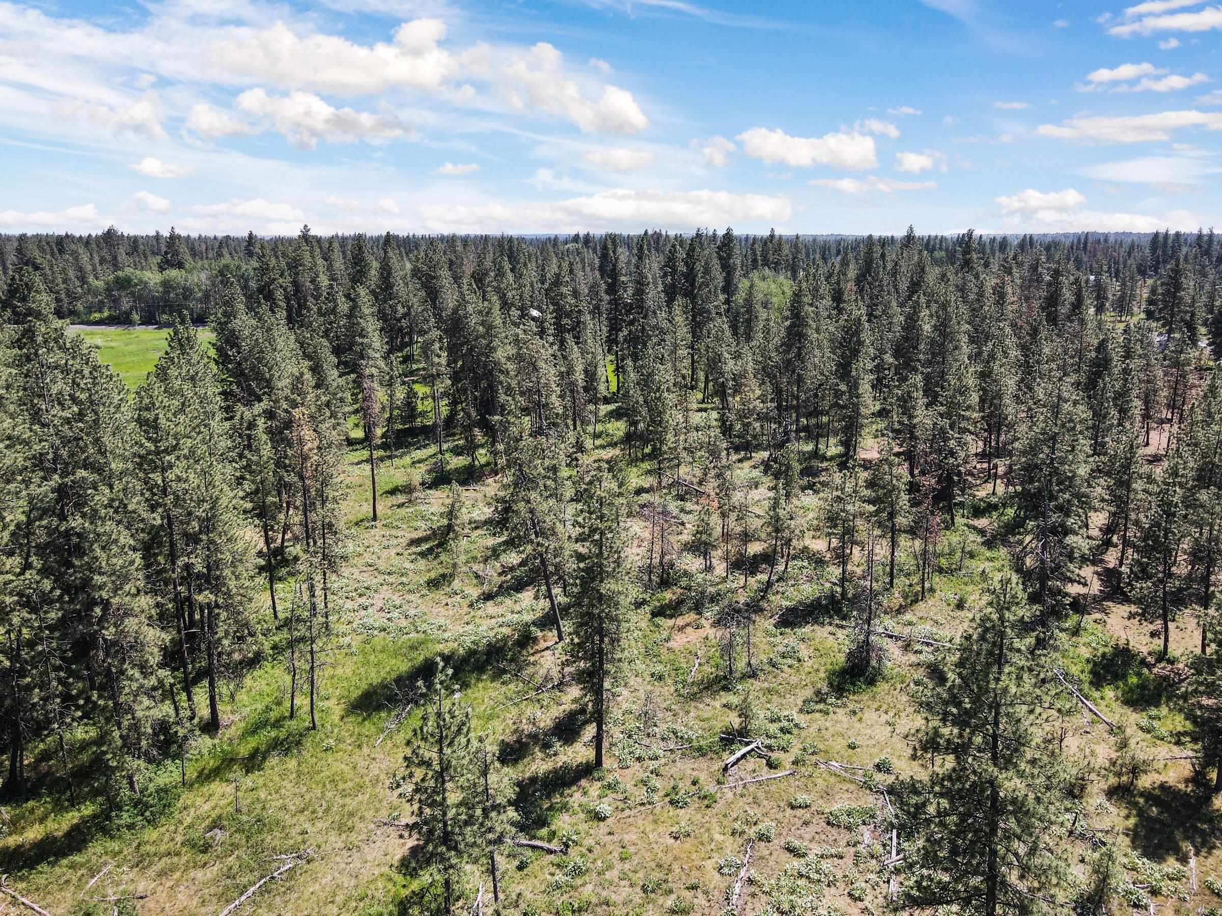 1614 West Paradise Road Spokane, WA 99224 - Photo 11 of 50
