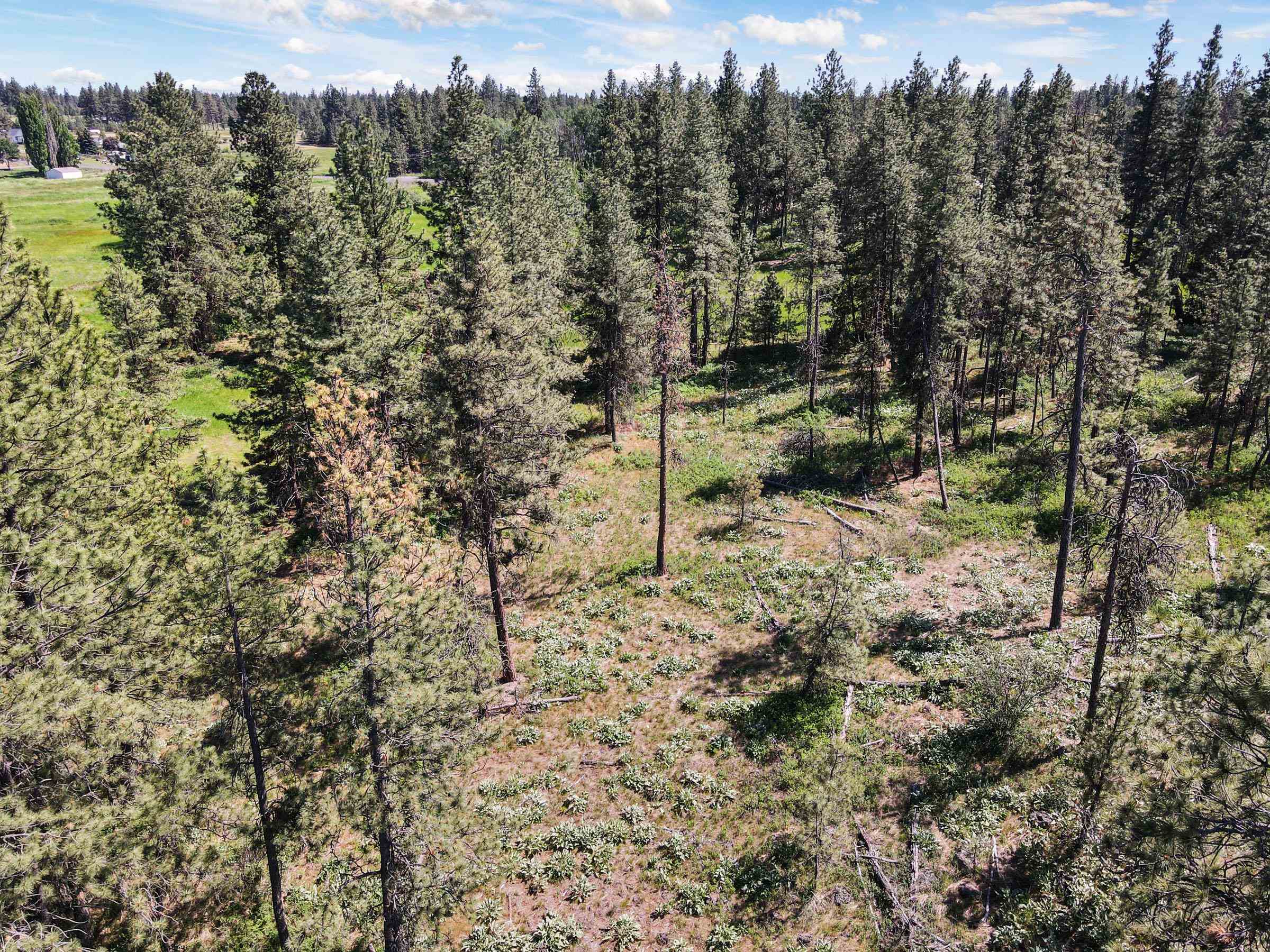 1614 West Paradise Road Spokane, WA 99224 - Photo 12 of 50