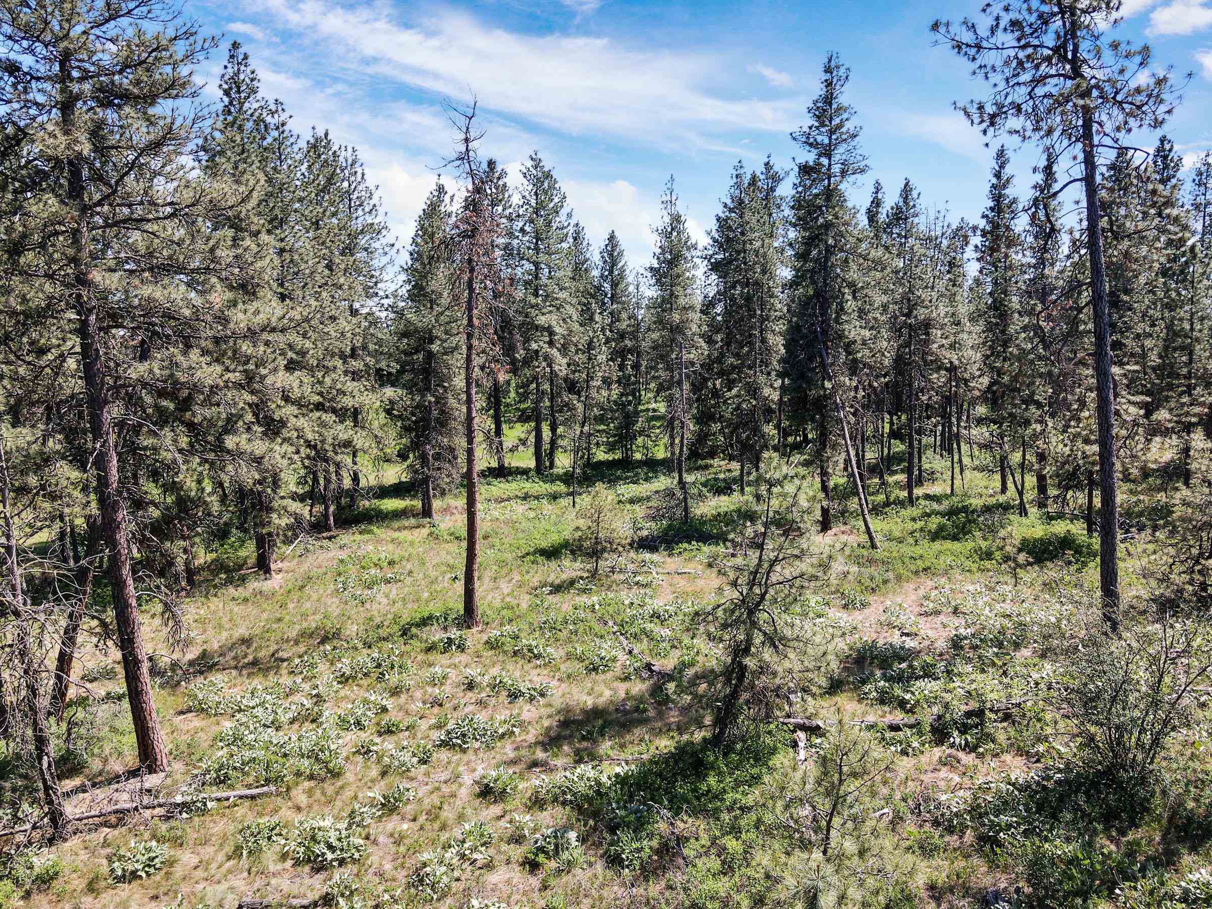 1614 West Paradise Road Spokane, WA 99224 - Photo 13 of 50