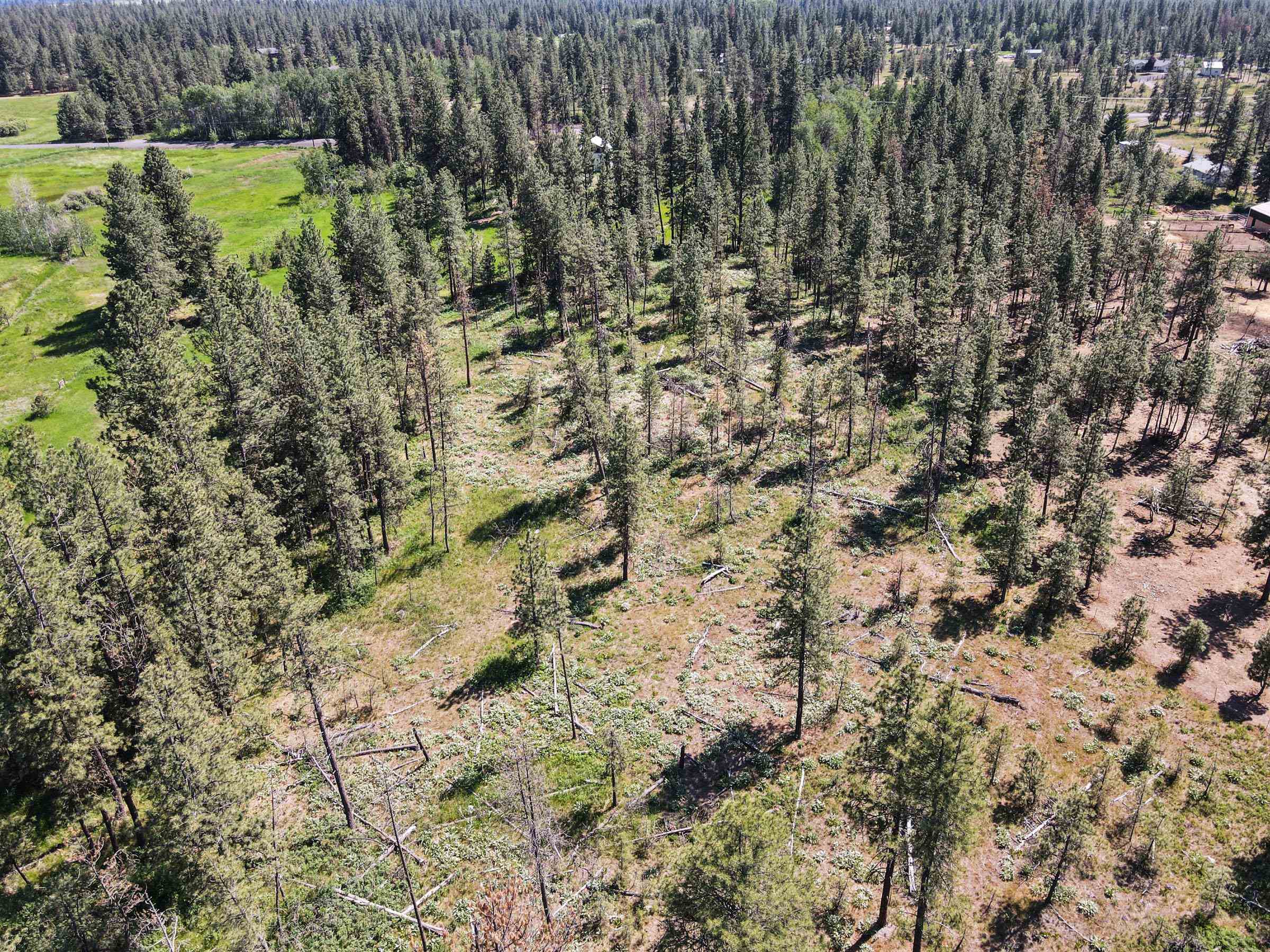 1614 West Paradise Road Spokane, WA 99224 - Photo 10 of 50