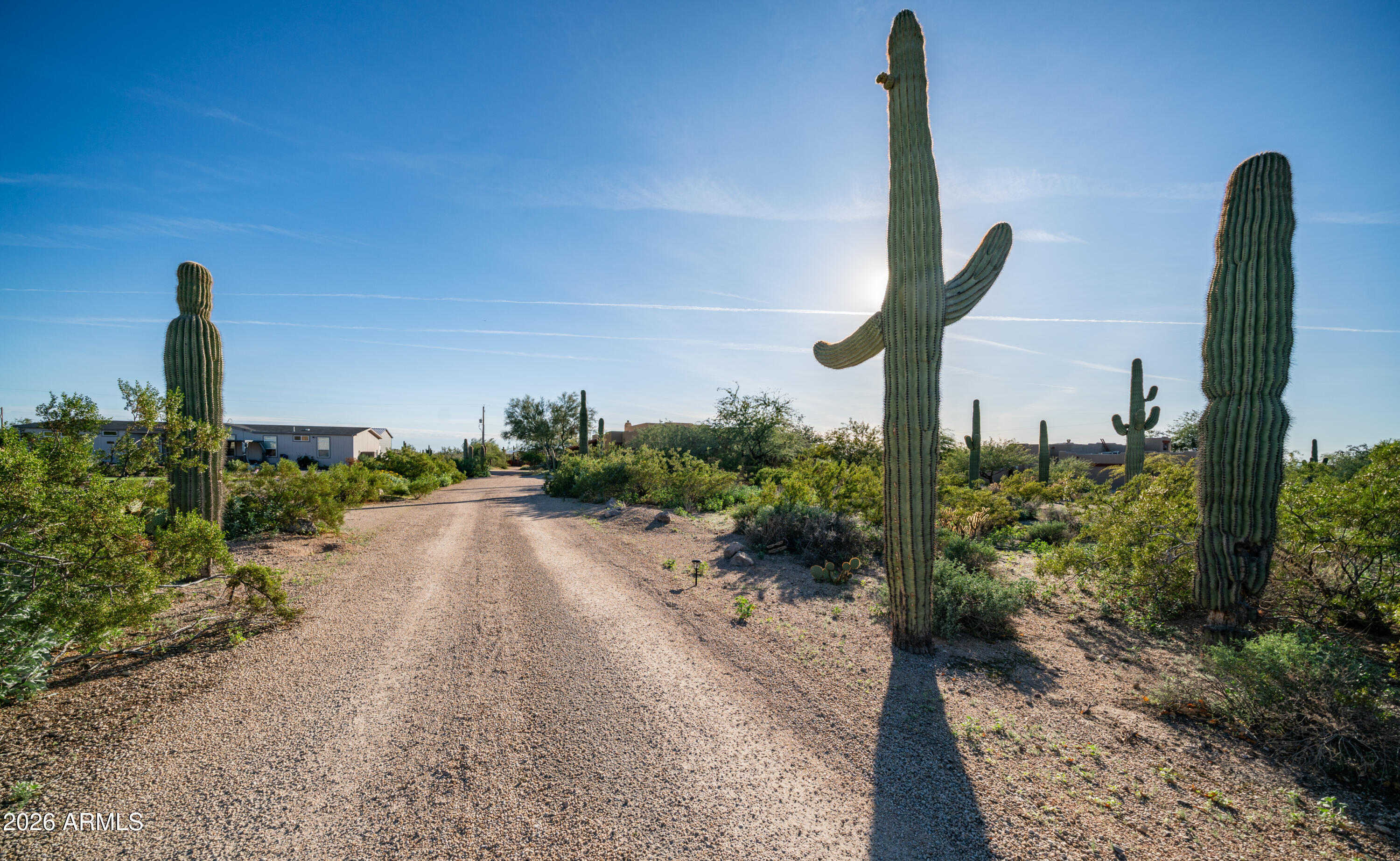 7841 East McDowell Road Mesa, AZ 85207 - Photo 1 of 62 Driveway