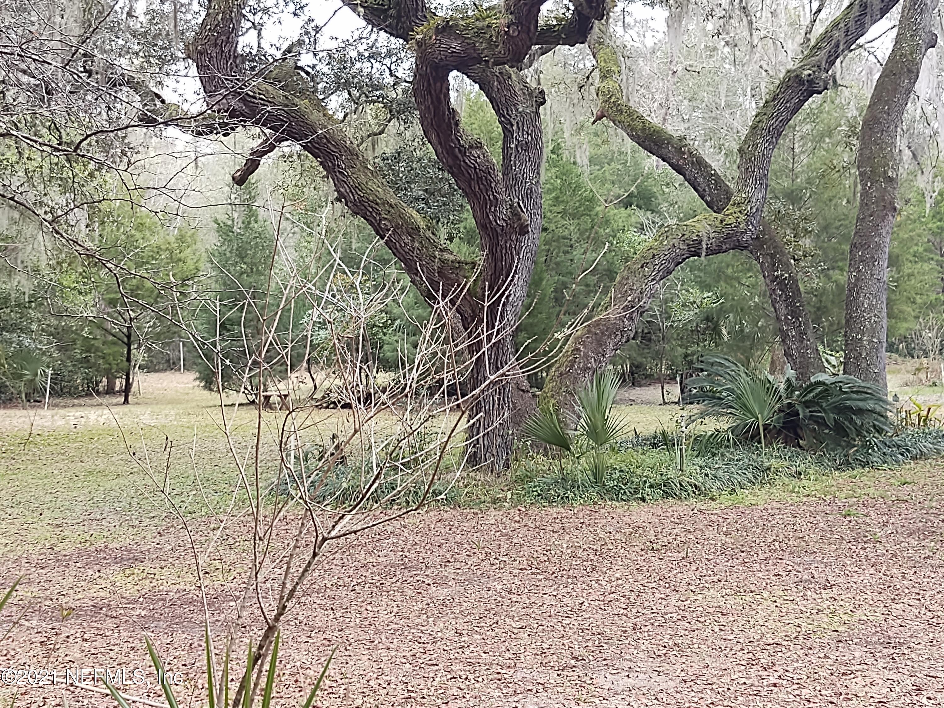 205 Strickland Road Interlachen, FL 32148 - Photo 49 of 56 IMG_20210206_142254081 - Copy