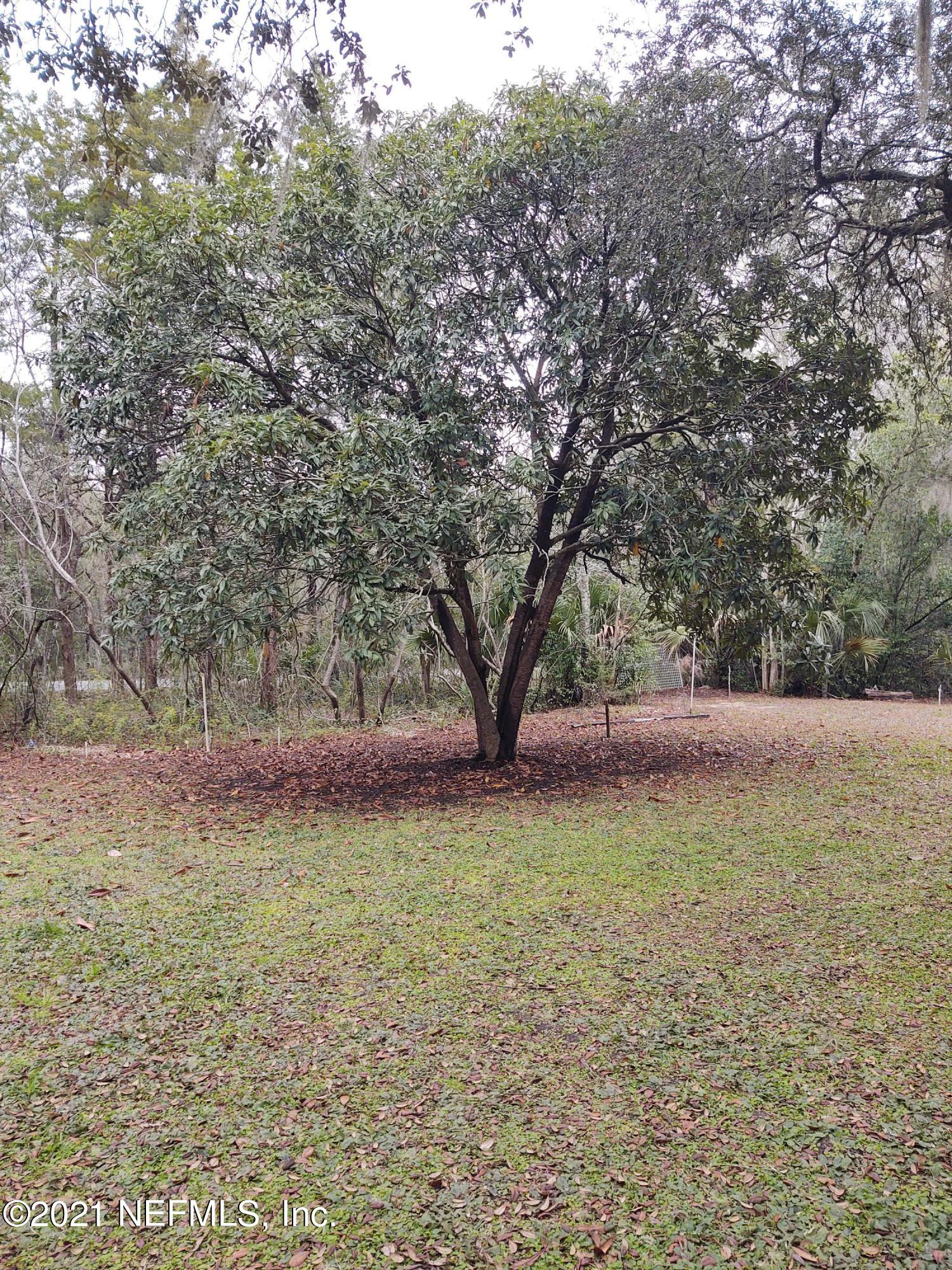 205 Strickland Road Interlachen, FL 32148 - Photo 51 of 56 IMG_20210206_142445084