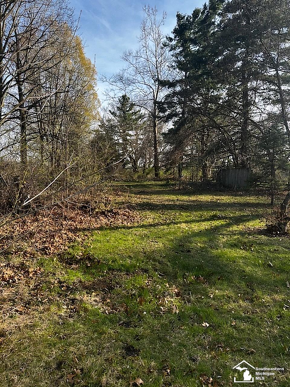 12933 Lulu Road Ida, MI 48140 - Photo 17 of 17
