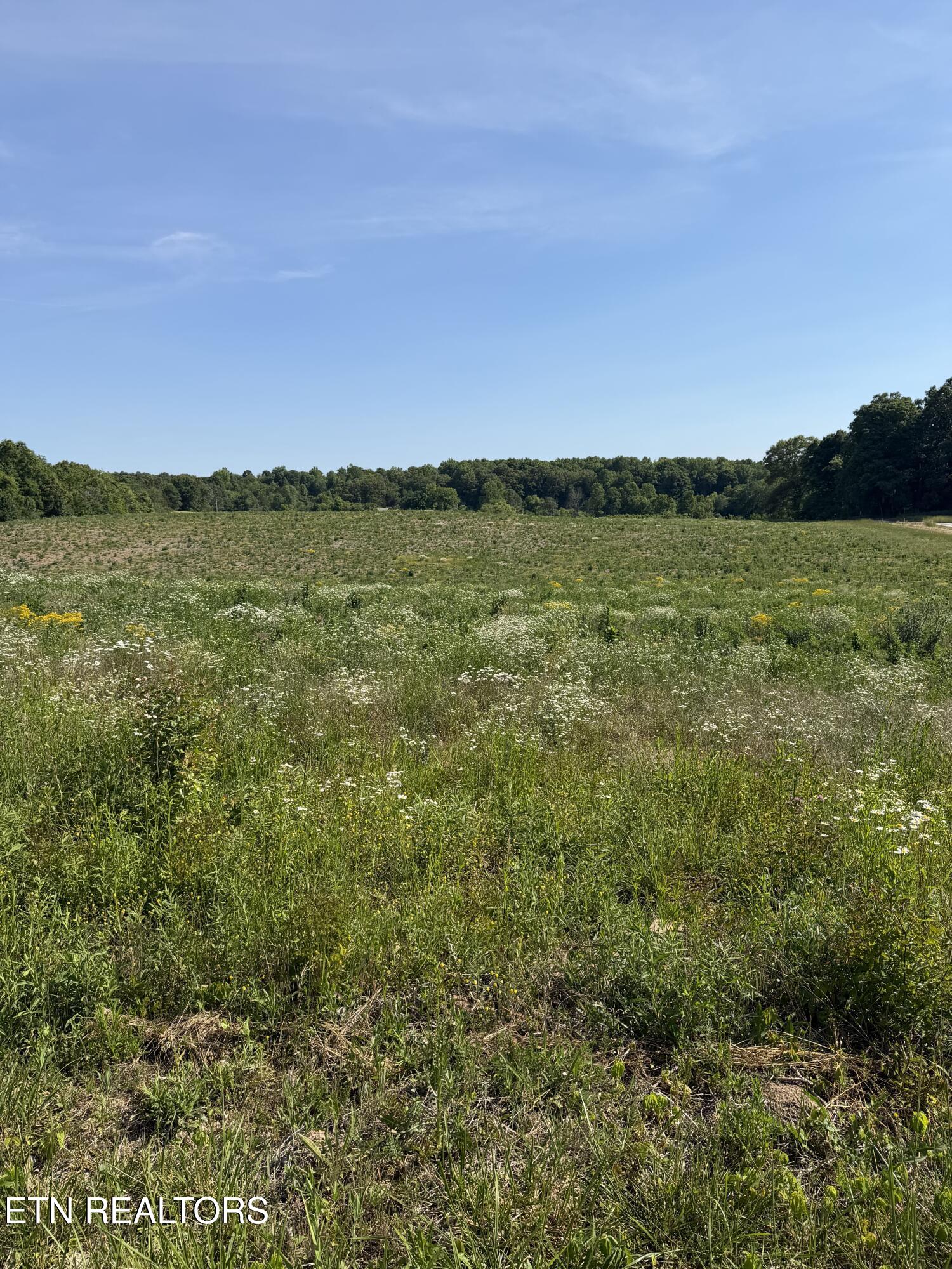 12 D Petty Road Sparta, TN 38583 - Photo 1 of 3 12d Petty rd
