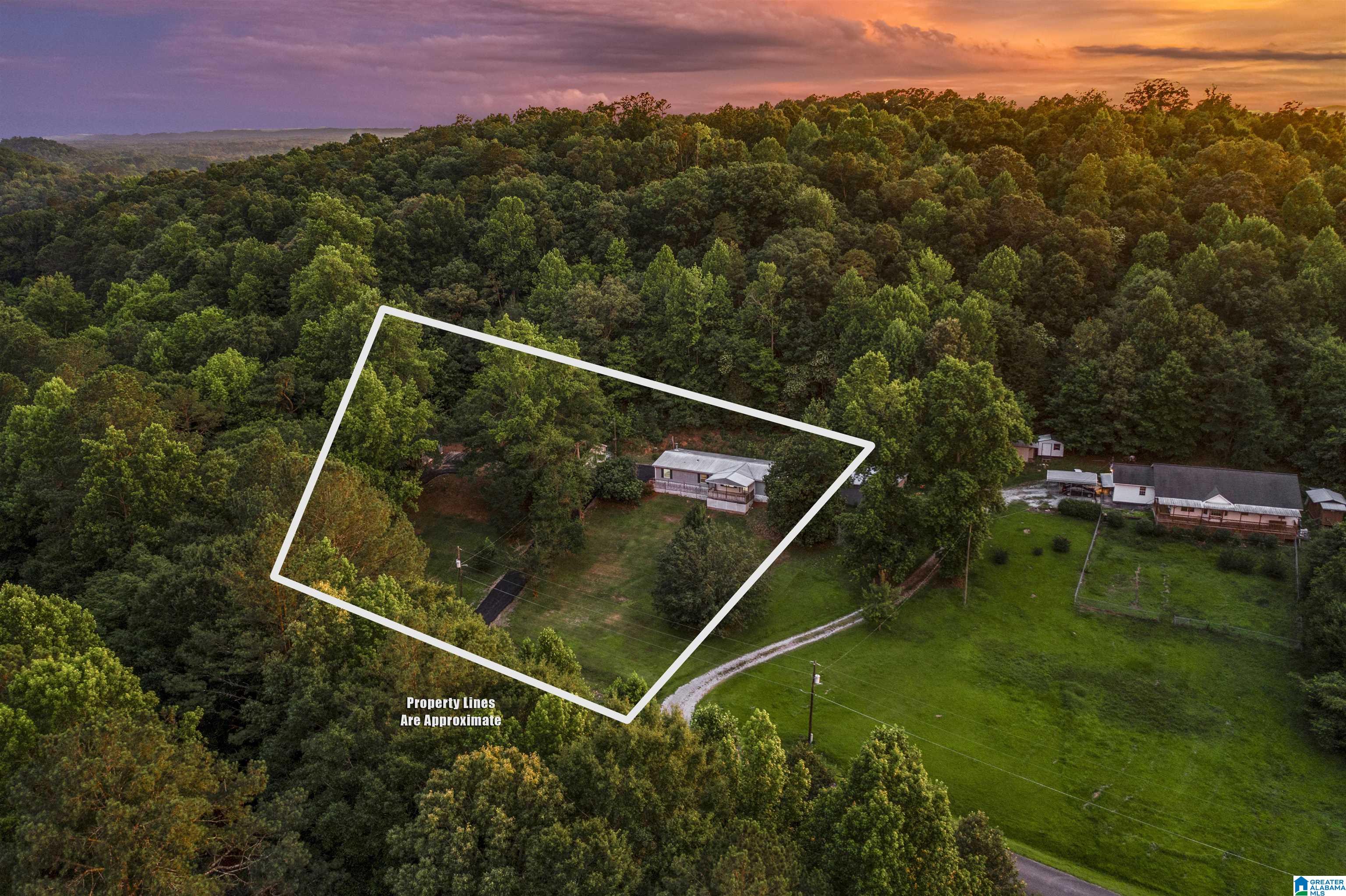 755 Lloyds Road Wellington, AL 36279 - Photo 6 of 53