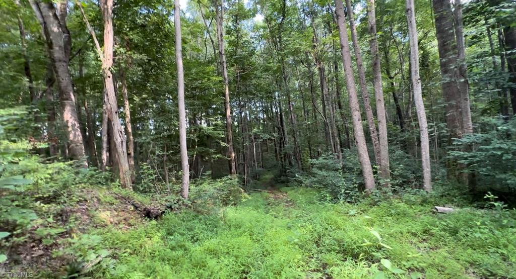 Tbd-2 Peter Mabe Road Danbury, NC 27016 - Photo 2 of 11