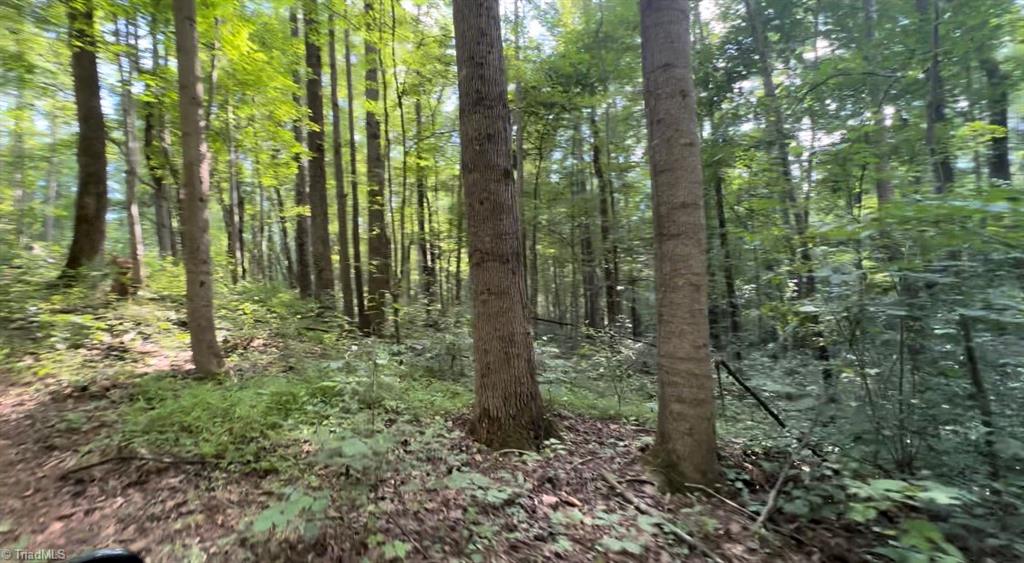 Tbd-2 Peter Mabe Road Danbury, NC 27016 - Photo 3 of 11