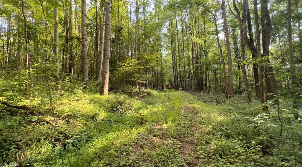 Tbd-2 Peter Mabe Road Danbury, NC 27016 - Photo 5 of 11