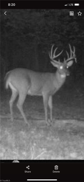 Tbd-2 Peter Mabe Road Danbury, NC 27016 - Photo 9 of 11