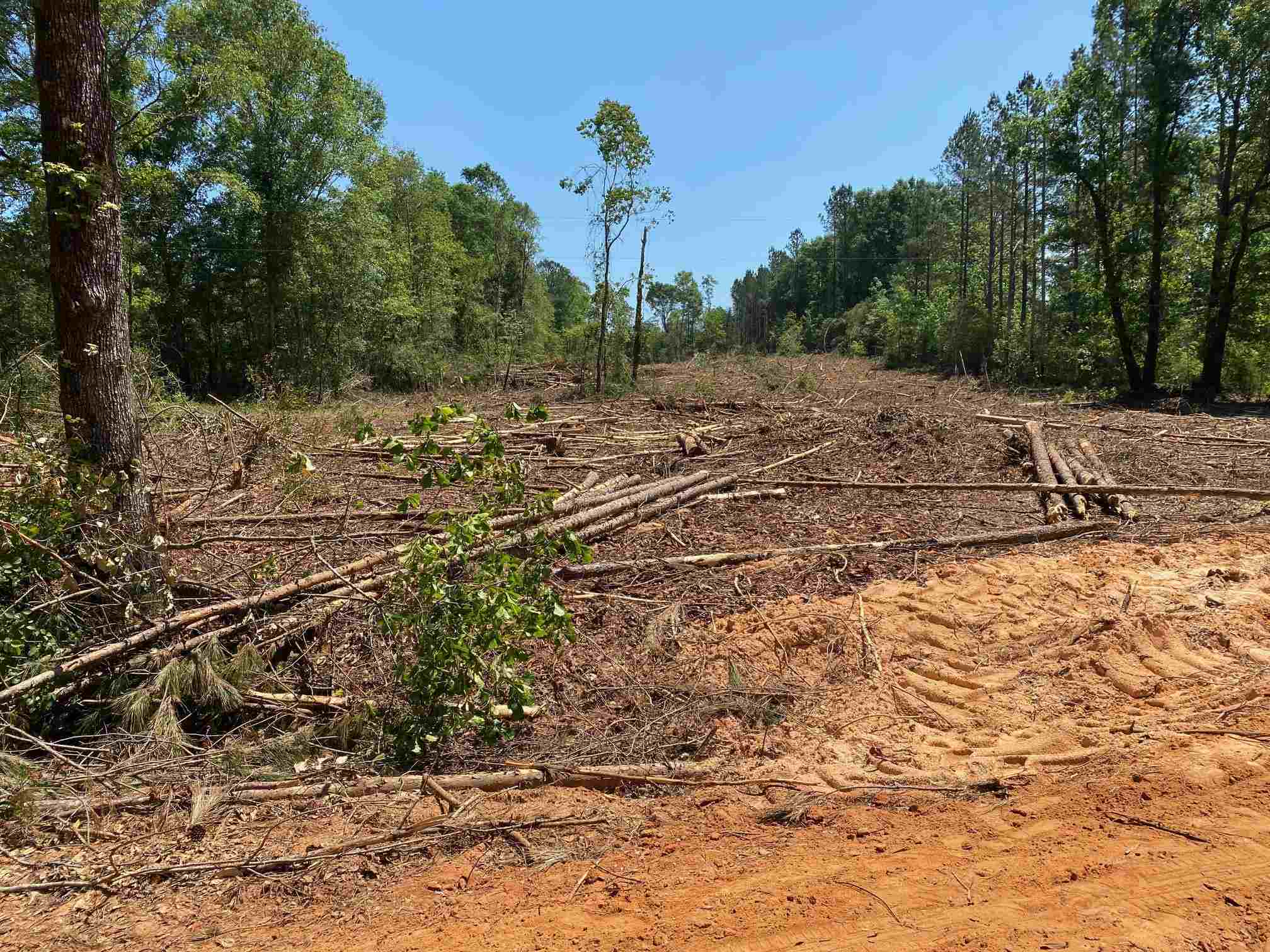 0 Beck Bridge Road Westville, FL 32464 - Photo 1 of 6