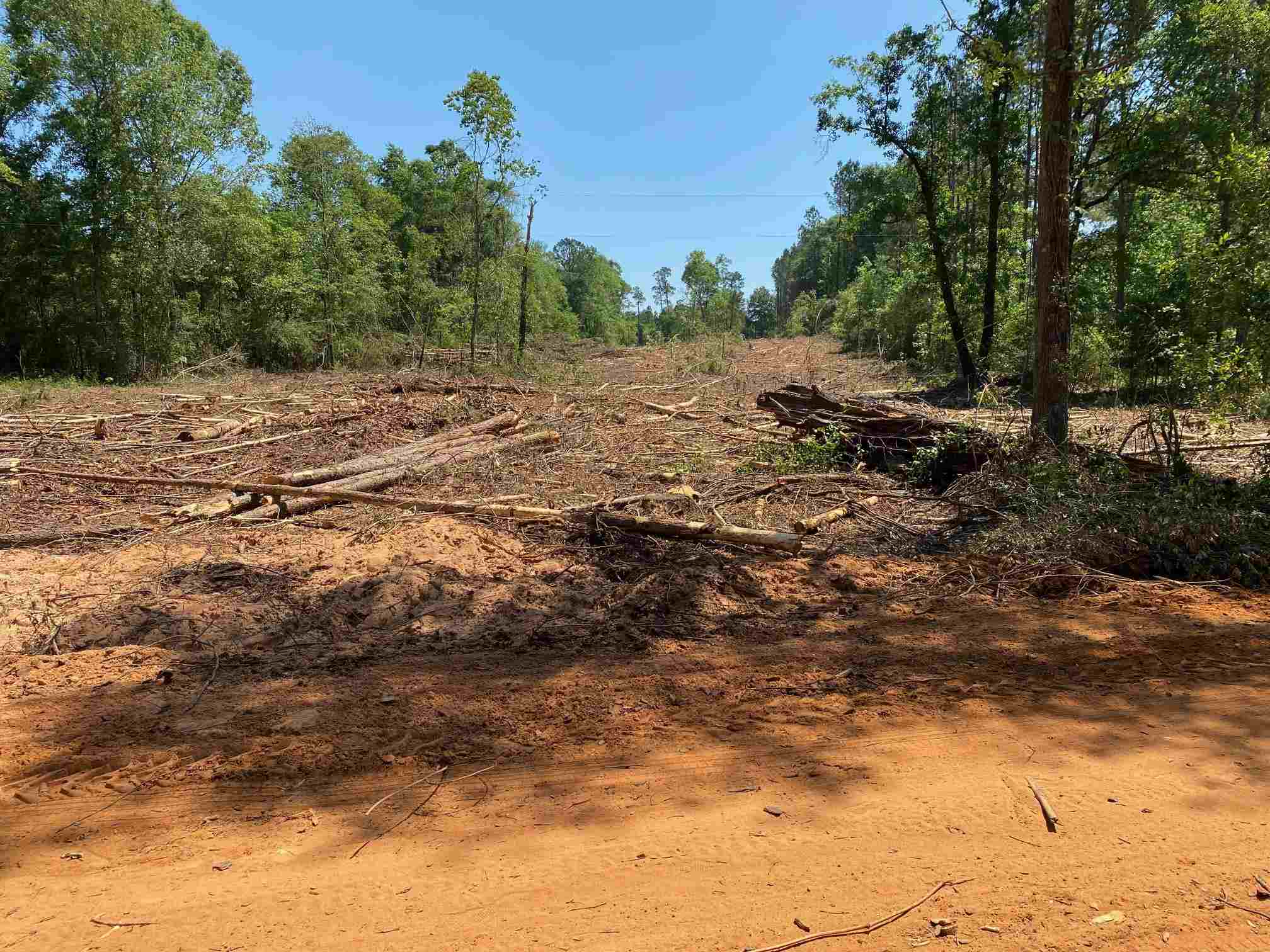 0 Beck Bridge Road Westville, FL 32464 - Photo 2 of 6