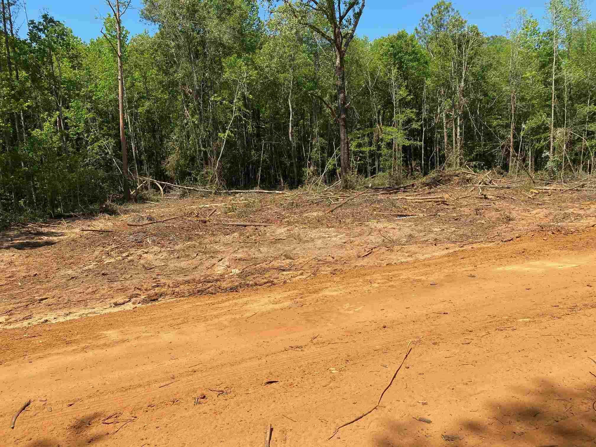 0 Beck Bridge Road Westville, FL 32464 - Photo 3 of 6