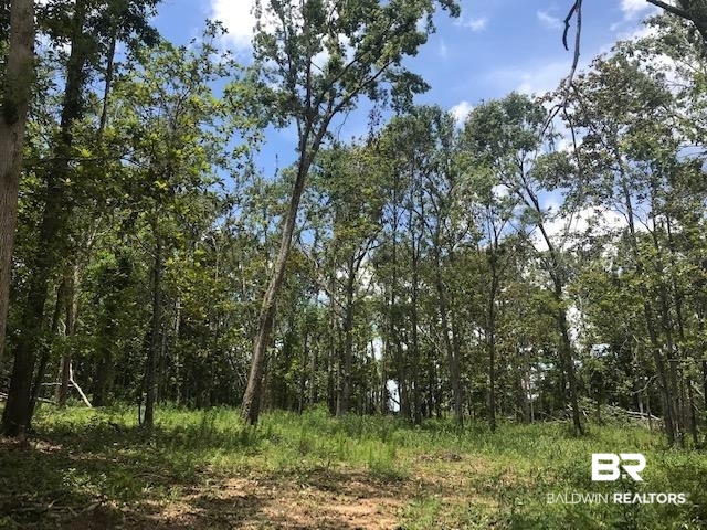 13911 County Road 49 South Foley, AL 36535 - Photo 3 of 4